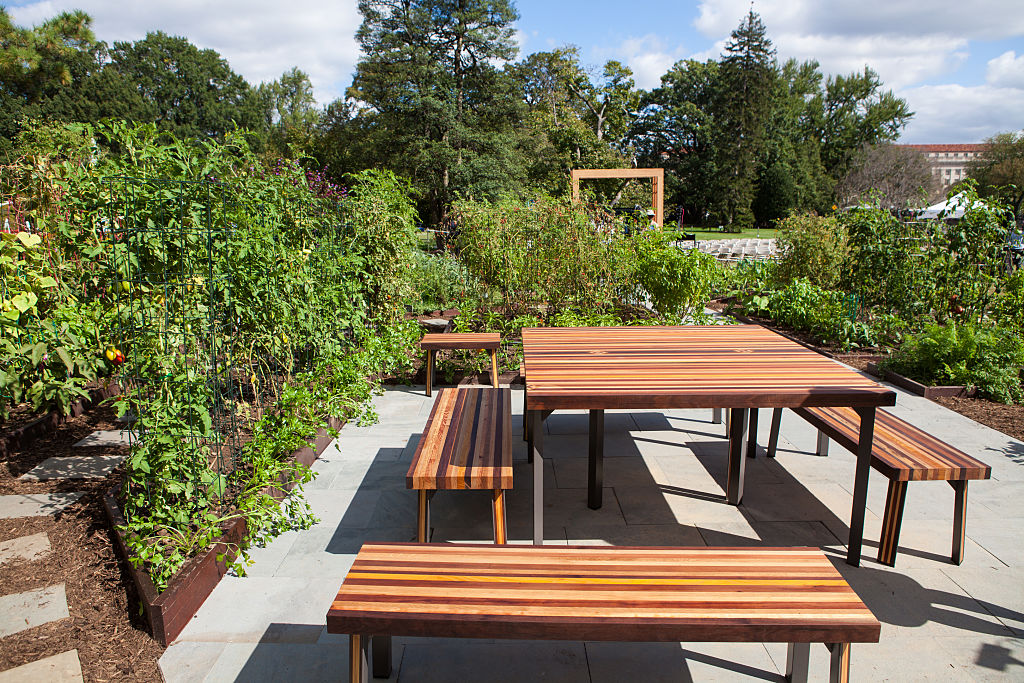 Usa 2016, giù le mani dall’orto di Michelle (Obama)