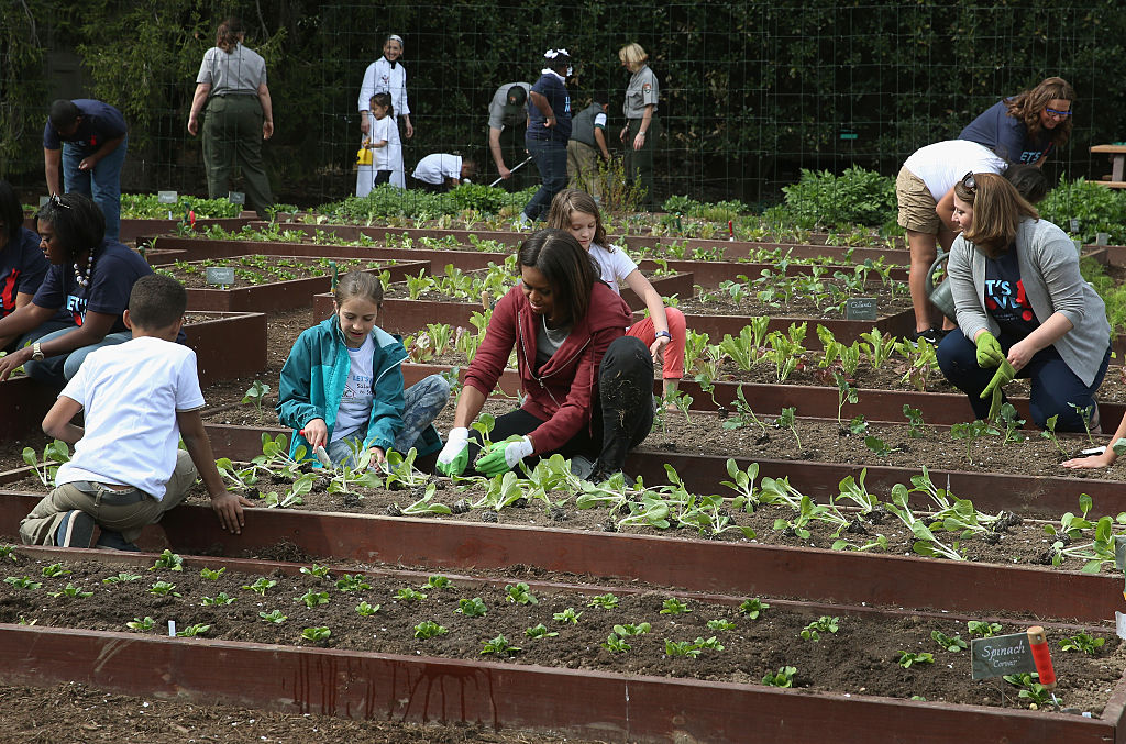 Usa 2016, giù le mani dall’orto di Michelle (Obama)