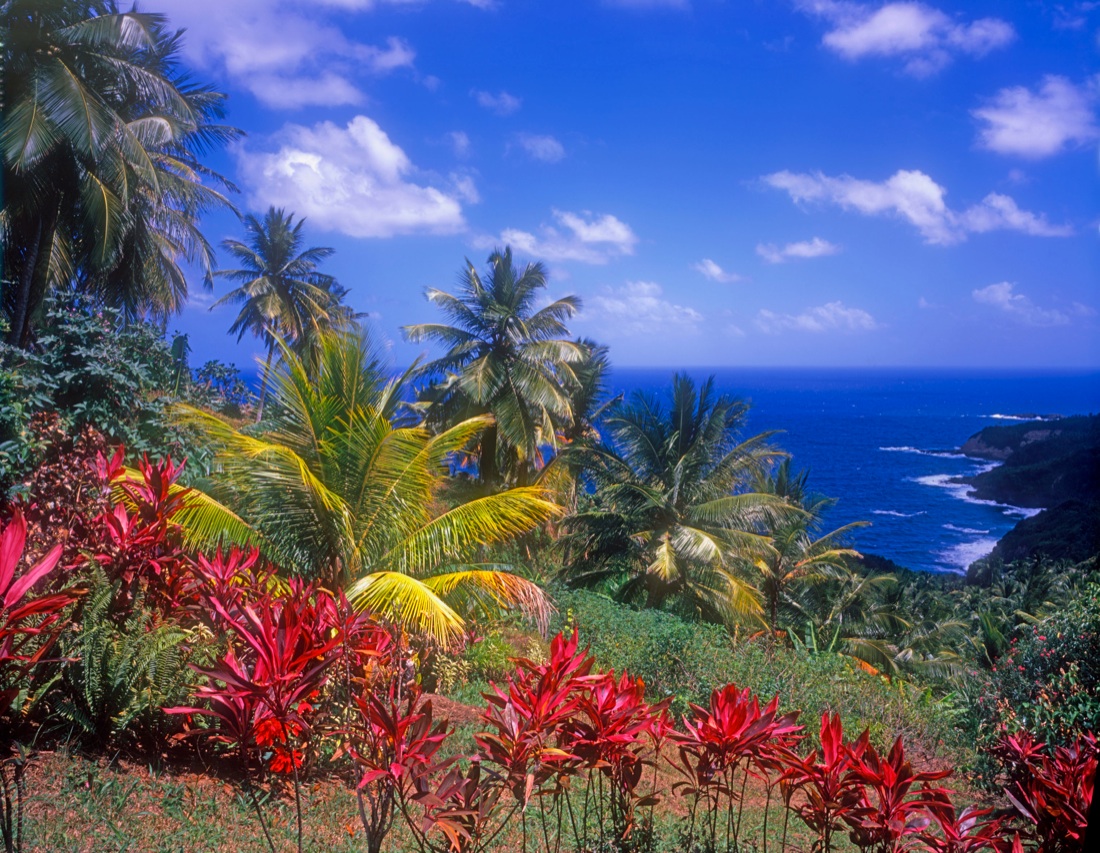 Le 10 destinazioni top del 2017. Secondo la Lonely Planet Le 10 destinazioni top del 2017. Secondo la Lonely Planet