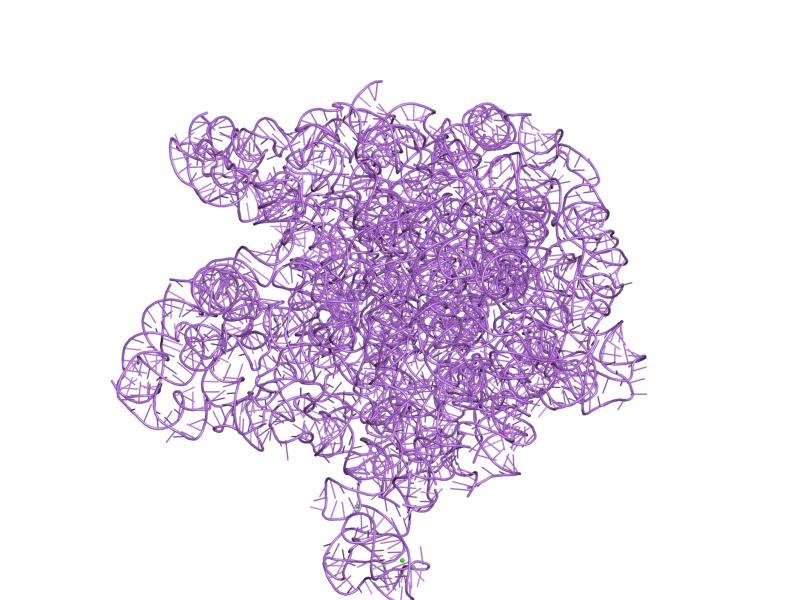 Falkowski, I motori della vita