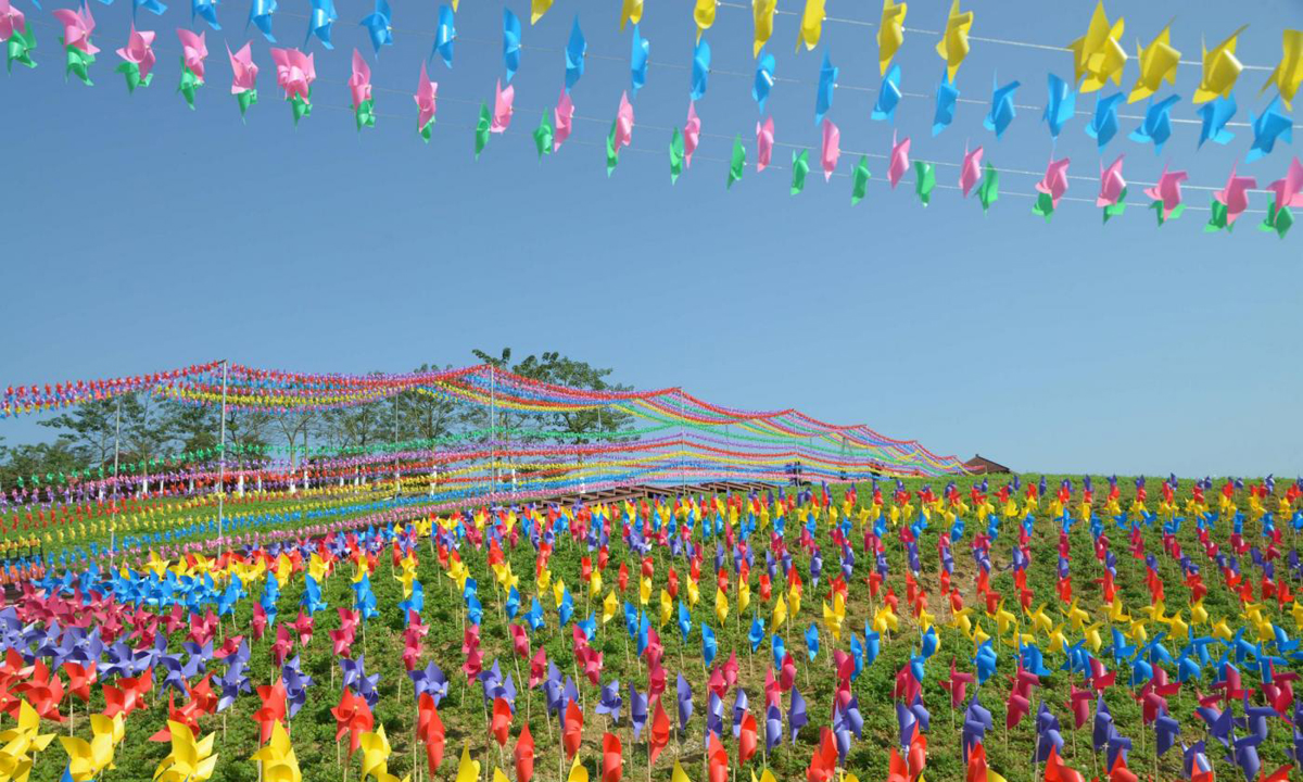 Cina, 240.000 girandole colorate accolgono il 2017 Cina, 240.000 girandole colorate accolgono il 2017