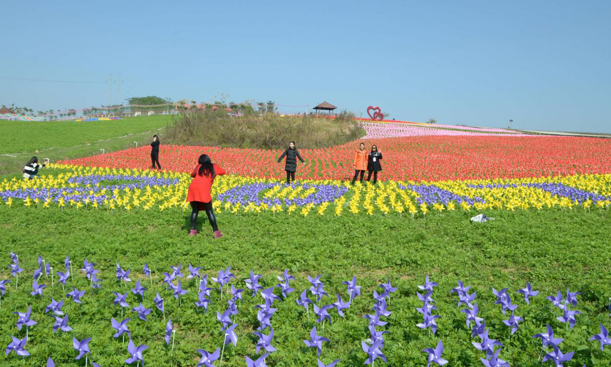 Cina, 240.000 girandole colorate accolgono il 2017 Cina, 240.000 girandole colorate accolgono il 2017