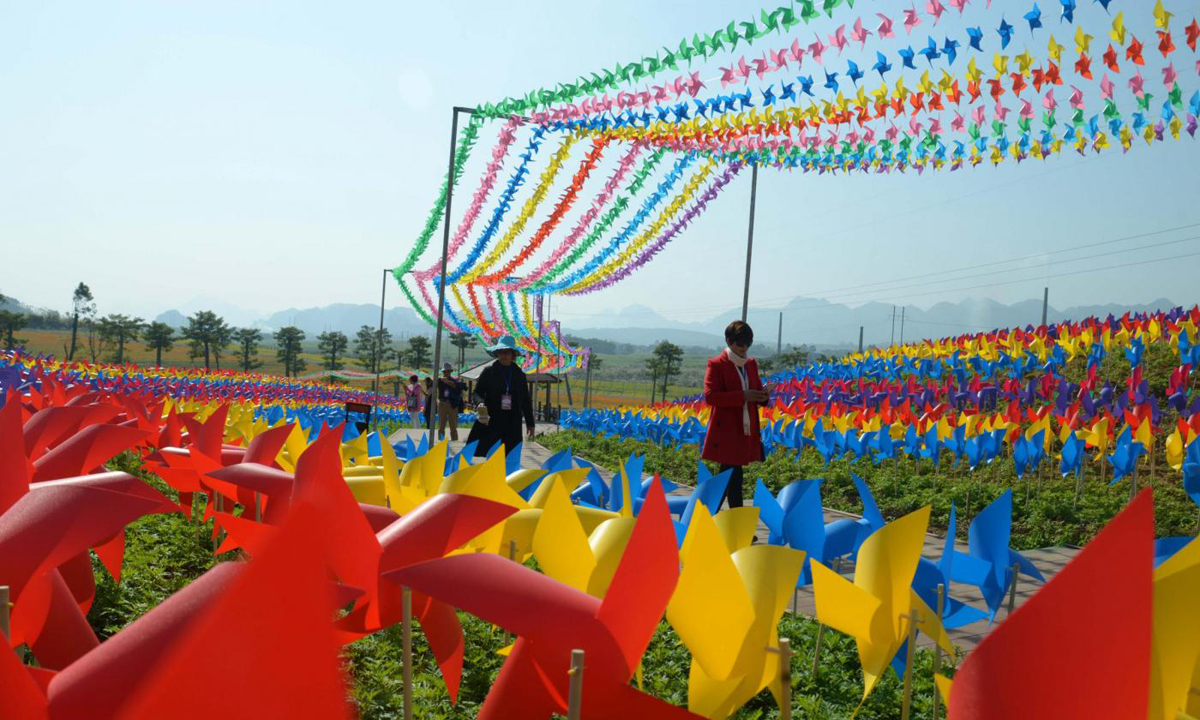 Cina, 240.000 girandole colorate accolgono il 2017 Cina, 240.000 girandole colorate accolgono il 2017