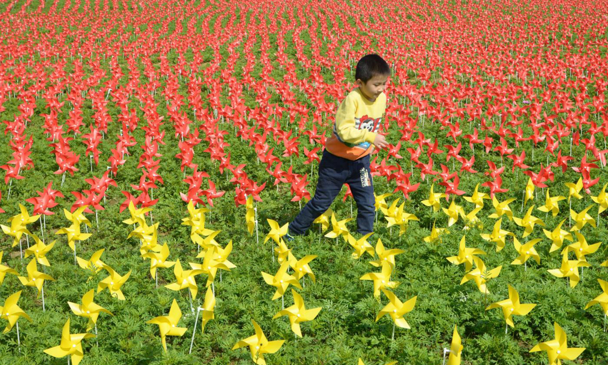 Cina, 240.000 girandole colorate accolgono il 2017 Cina, 240.000 girandole colorate accolgono il 2017