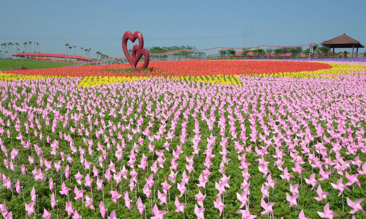 Cina, 240.000 girandole colorate accolgono il 2017 Cina, 240.000 girandole colorate accolgono il 2017