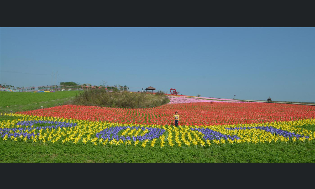 Cina, 240.000 girandole colorate accolgono il 2017 Cina, 240.000 girandole colorate accolgono il 2017