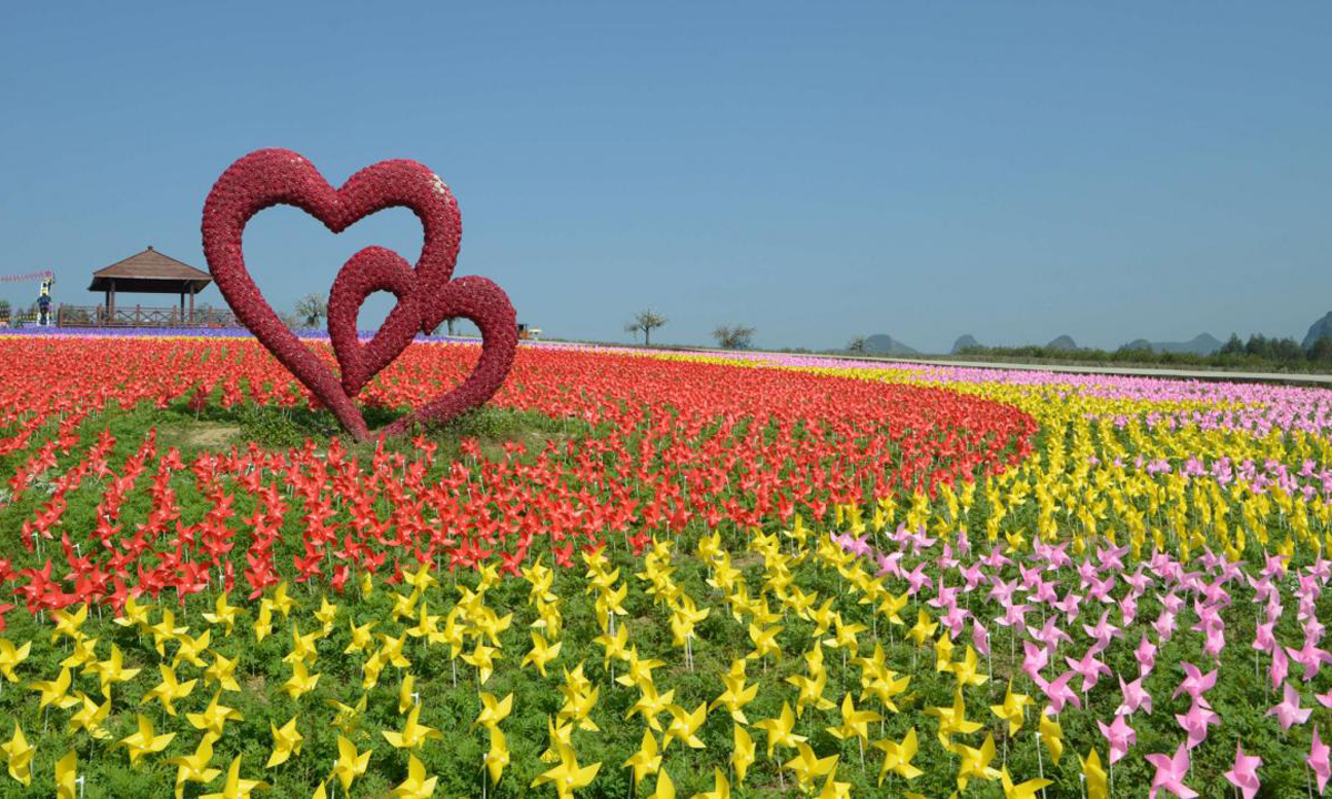 Cina, 240.000 girandole colorate accolgono il 2017 Cina, 240.000 girandole colorate accolgono il 2017