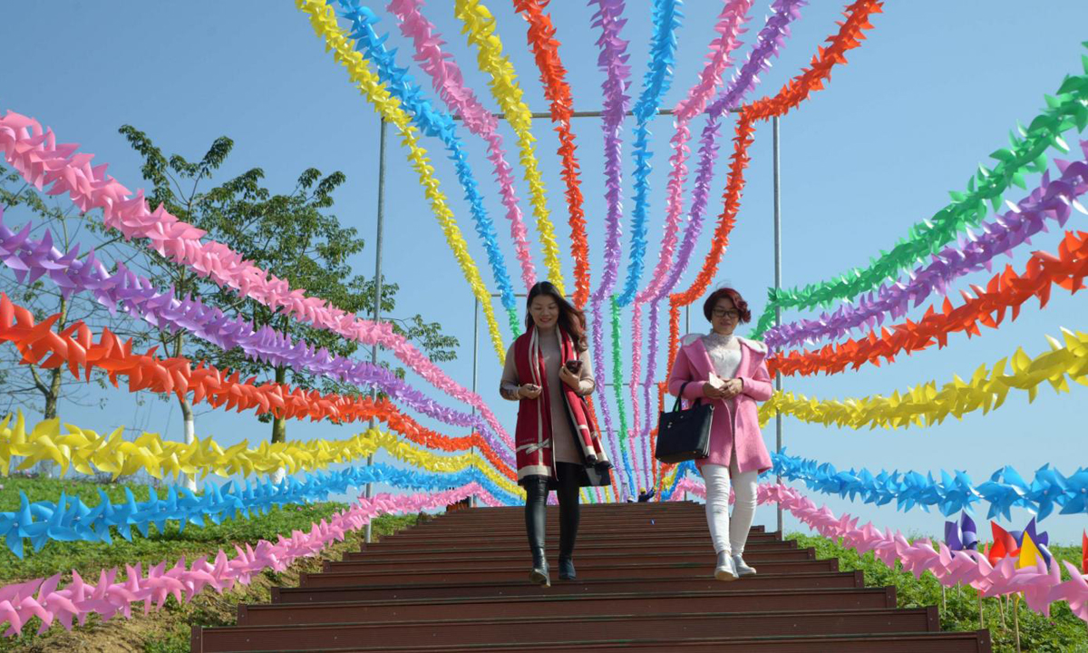 Cina, 240.000 girandole colorate accolgono il 2017 Cina, 240.000 girandole colorate accolgono il 2017