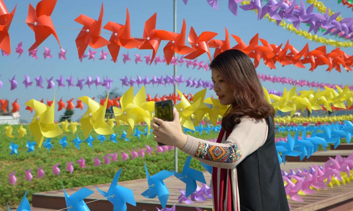 Galleria foto 'Cina, 240.000 girandole colorate accolgono il 2017' - foto 14