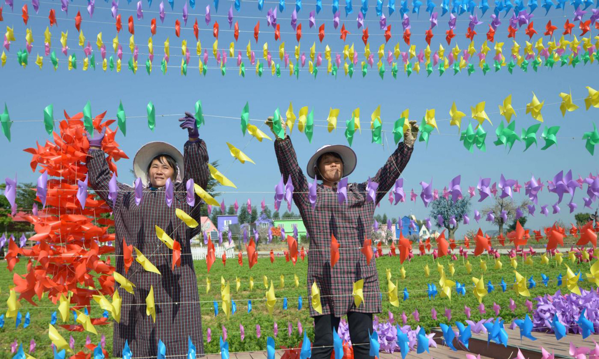 Cina, 240.000 girandole colorate accolgono il 2017 Cina, 240.000 girandole colorate accolgono il 2017