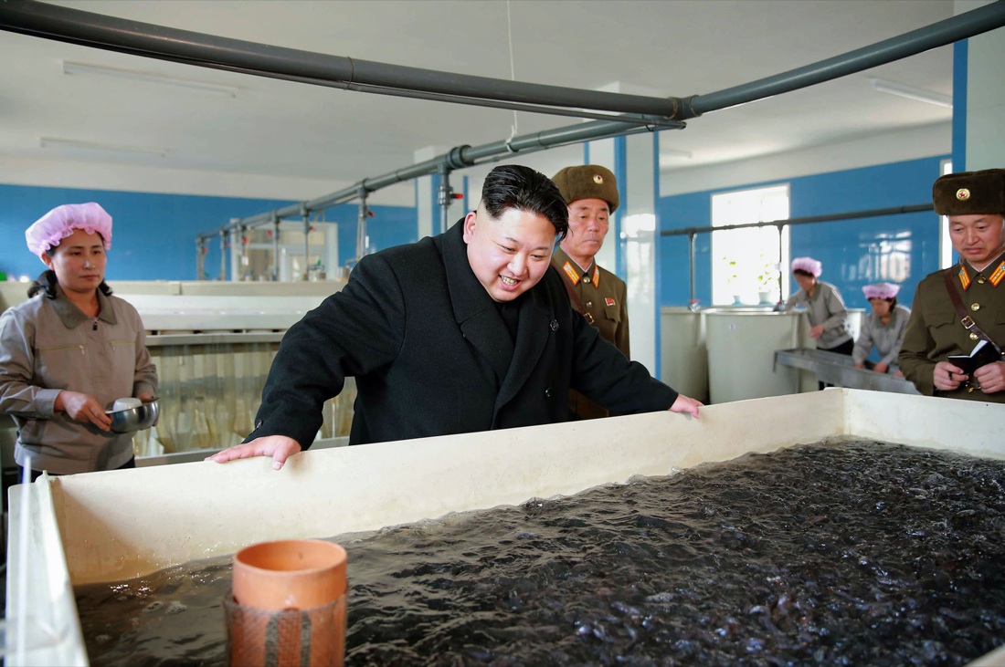 Corea del Nord: Kim Jong un ha fatto giustiziare 340 persone Corea del Nord: Kim Jong un ha fatto giustiziare 340 persone