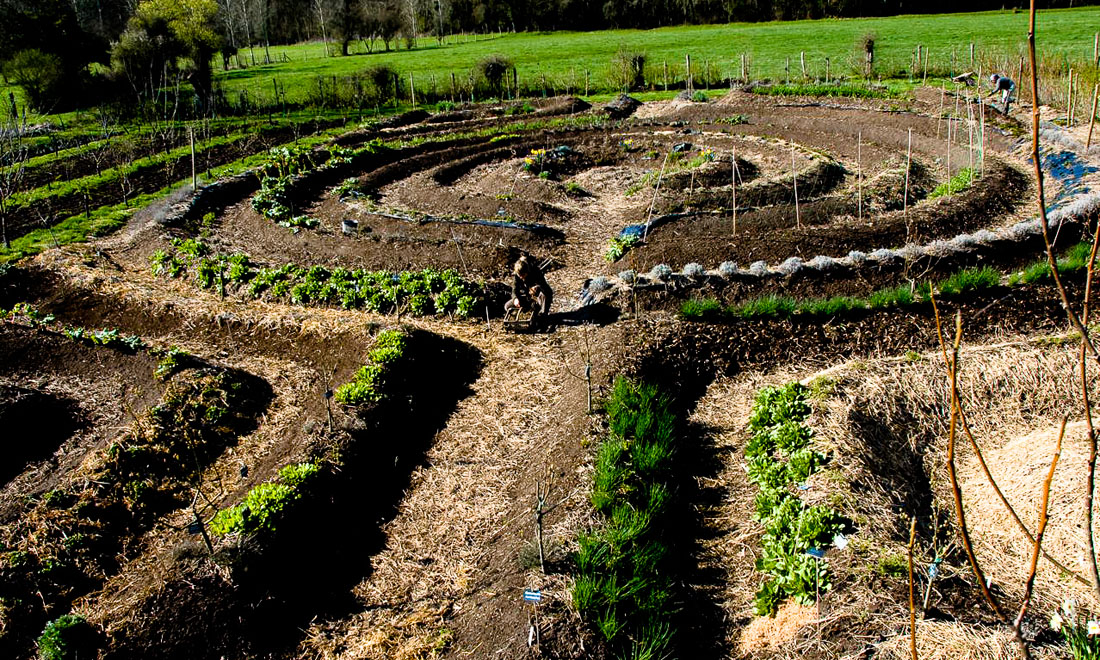 I film da vedere questa settimana I film da vedere questa settimana
