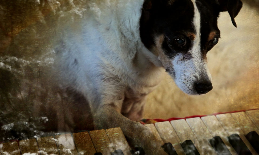 I film da vedere questa settimana I film da vedere questa settimana