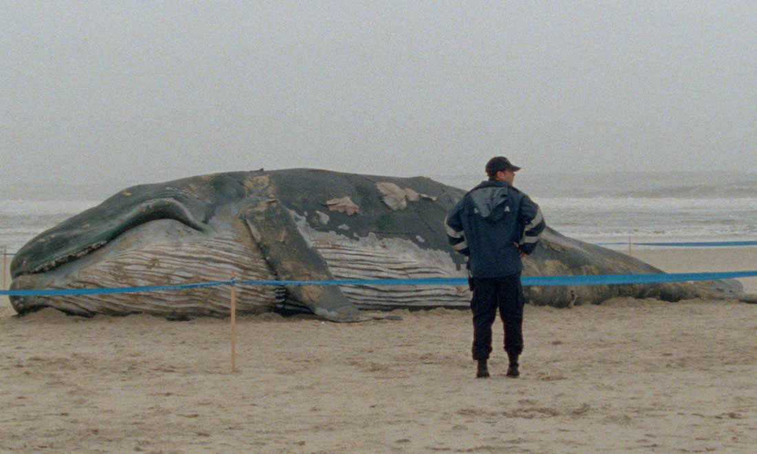 I film da vedere questa settimana I film da vedere questa settimana