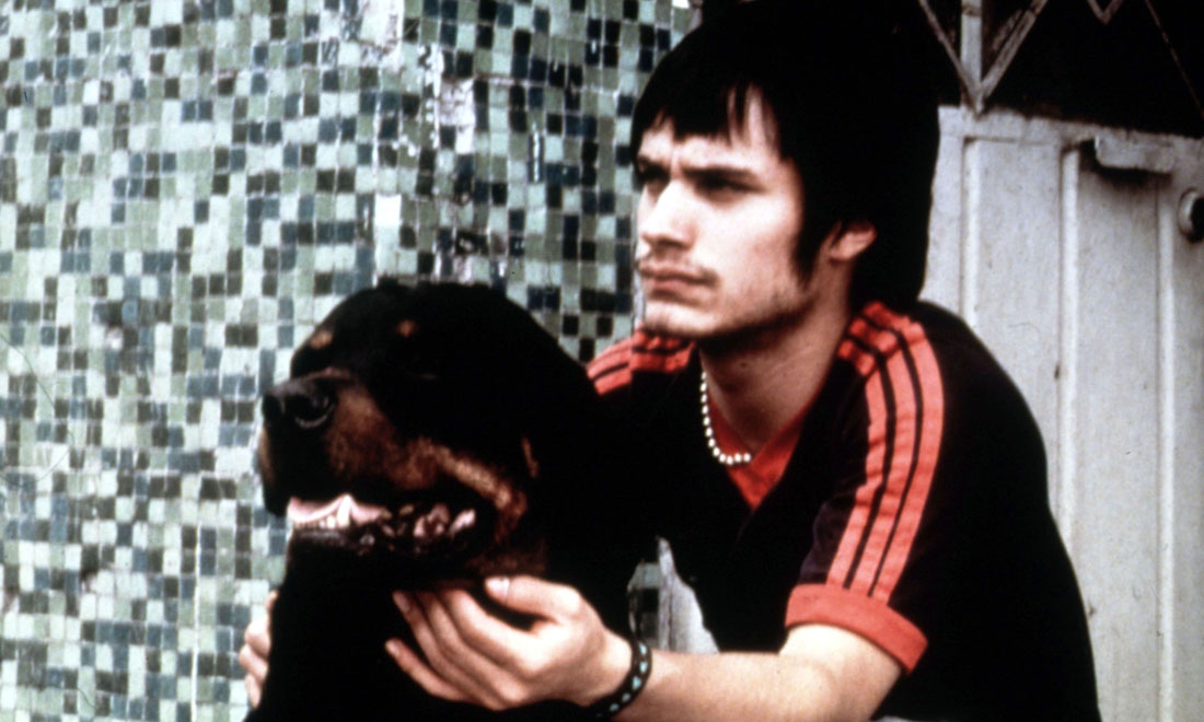 I film da vedere questa settimana I film da vedere questa settimana