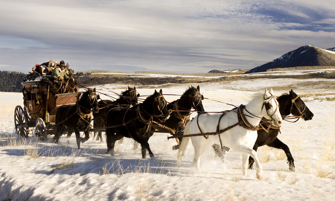 I 10 film americani più belli del 2016