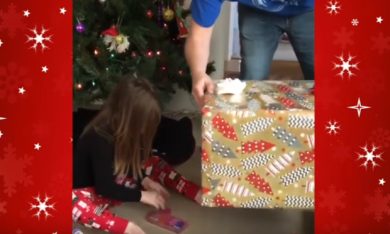 Le regalano un gattino, ma lui fugge dalla scatola