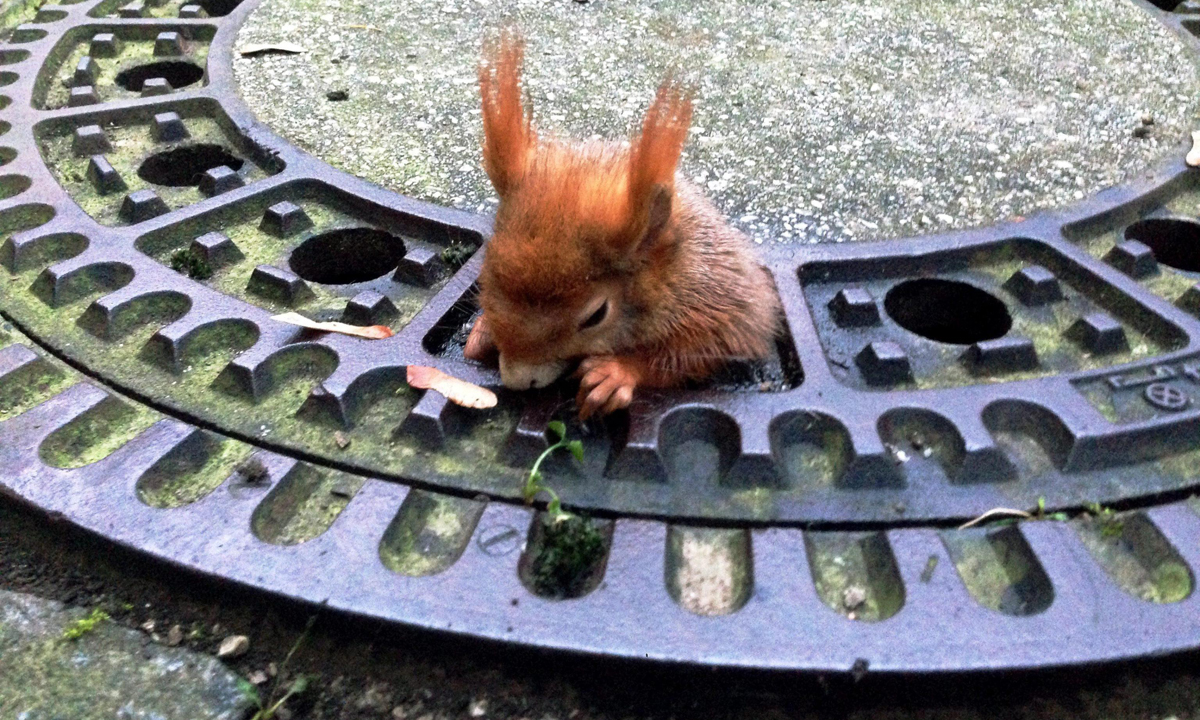 ANIMALI, le foto più belle del mese – Dicembre ANIMALI, le foto più belle del mese – Dicembre