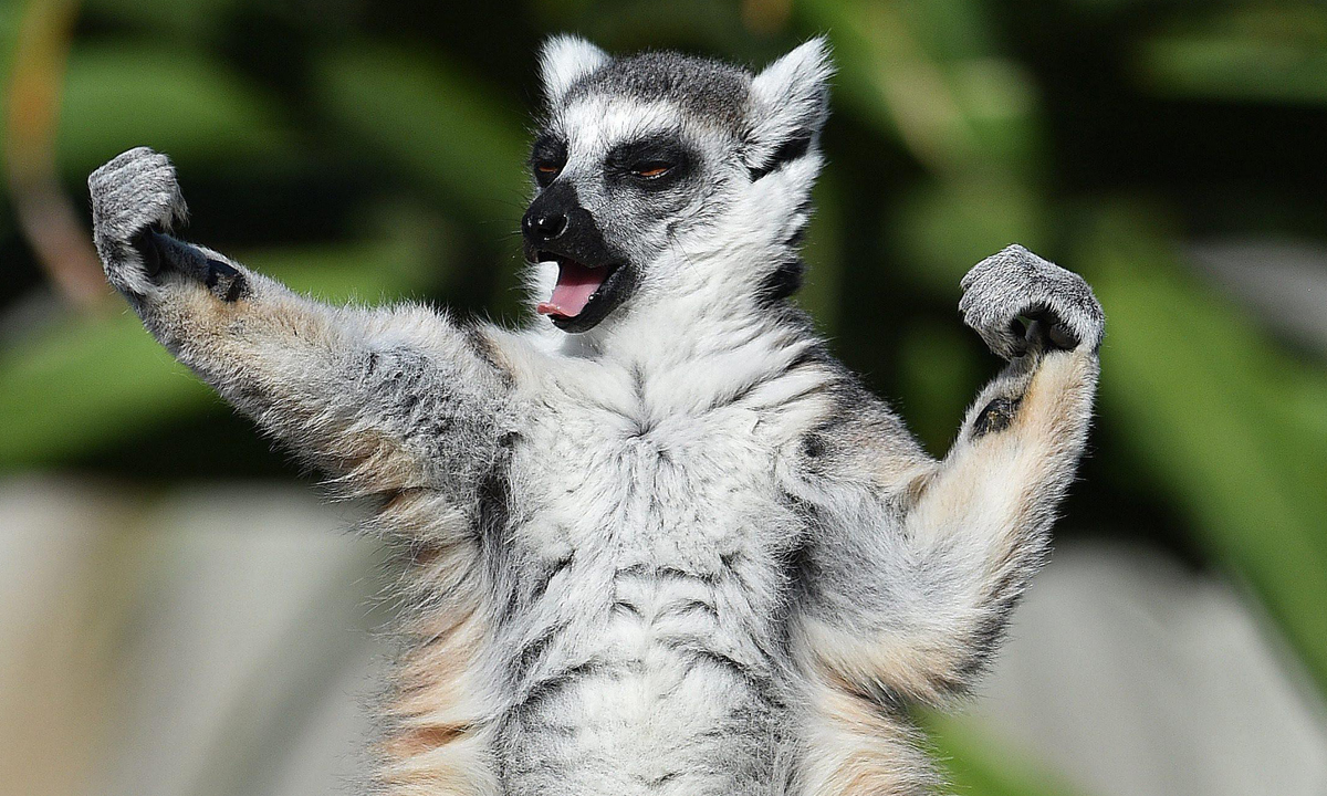 ANIMALI, le foto più belle del mese – Dicembre ANIMALI, le foto più belle del mese – Dicembre