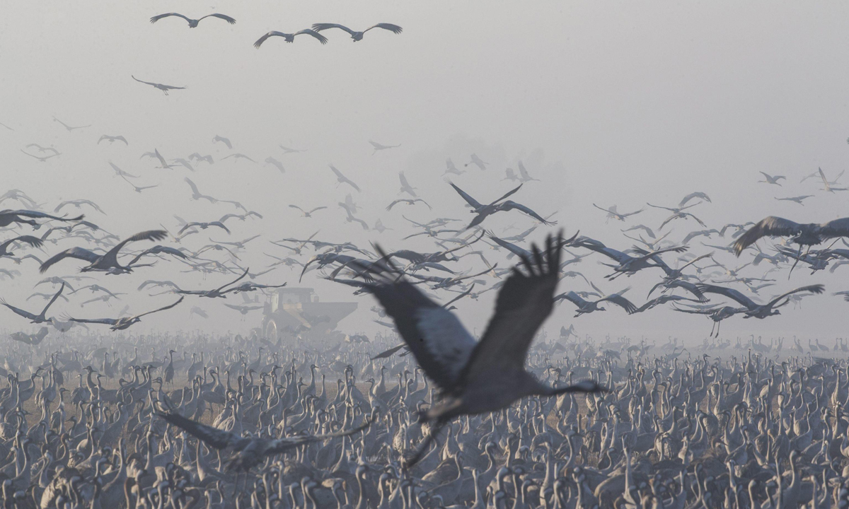 ANIMALI, le foto più belle del mese – Dicembre ANIMALI, le foto più belle del mese – Dicembre
