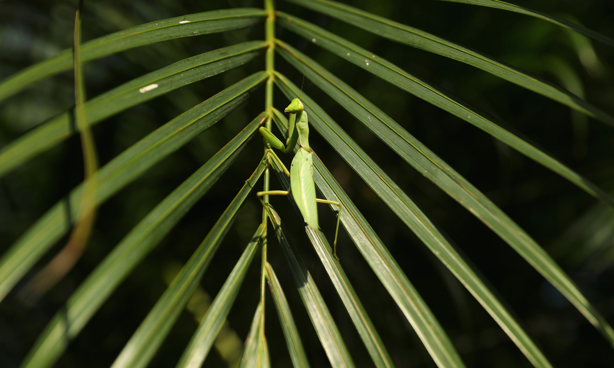 ANIMALI, le foto più belle del mese – Dicembre ANIMALI, le foto più belle del mese – Dicembre