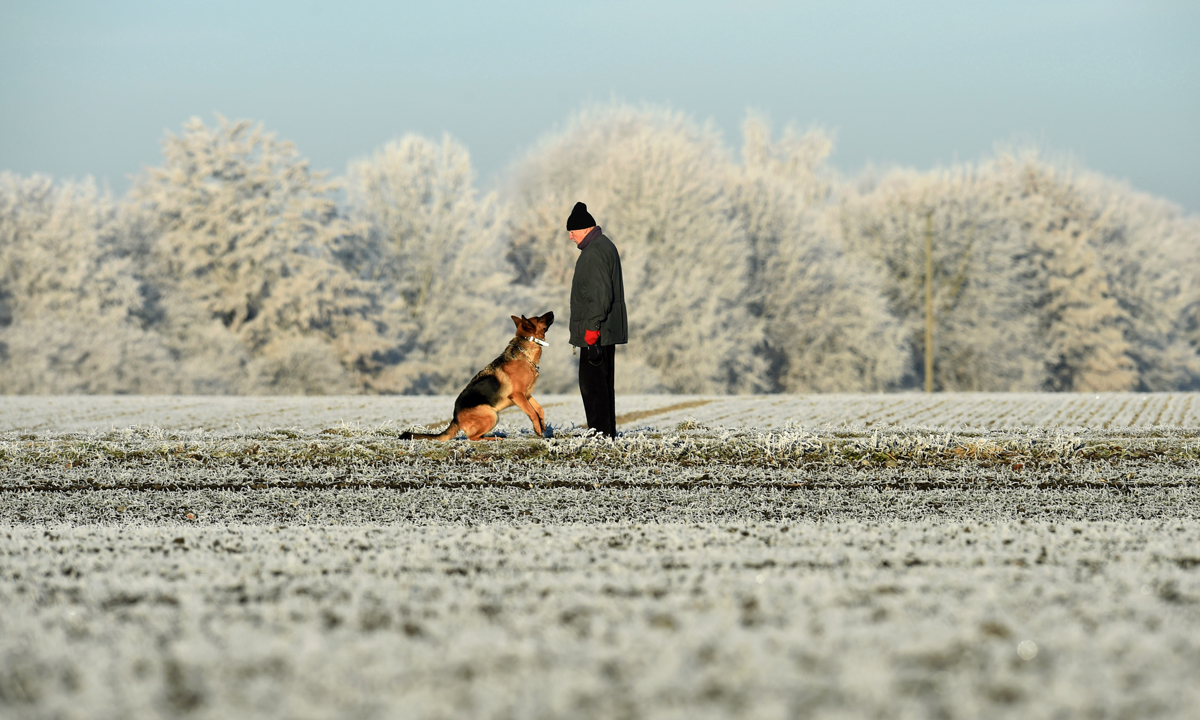 ANIMALI, le foto più belle del mese – Dicembre ANIMALI, le foto più belle del mese – Dicembre