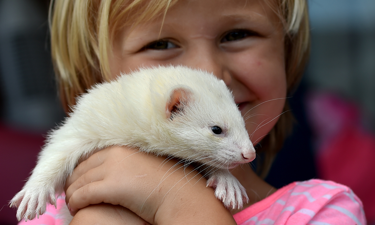 ANIMALI, le foto più belle del mese – Dicembre ANIMALI, le foto più belle del mese – Dicembre