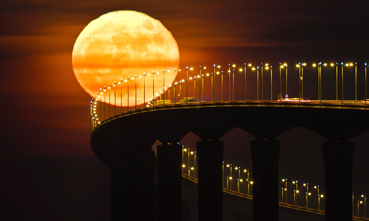 Le foto più belle della settimana – 10/16 dicembre