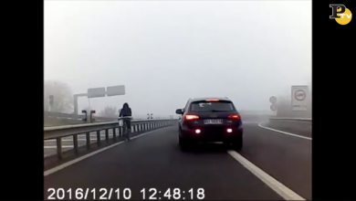 Ragazzi in bicicletta contromano sulla tangenziale di Pavia | video