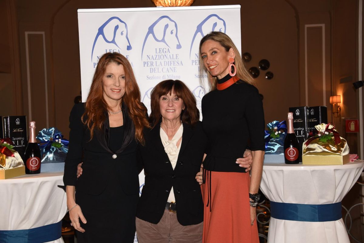 Galleria foto 'Le feste vip della settimana' - foto 11