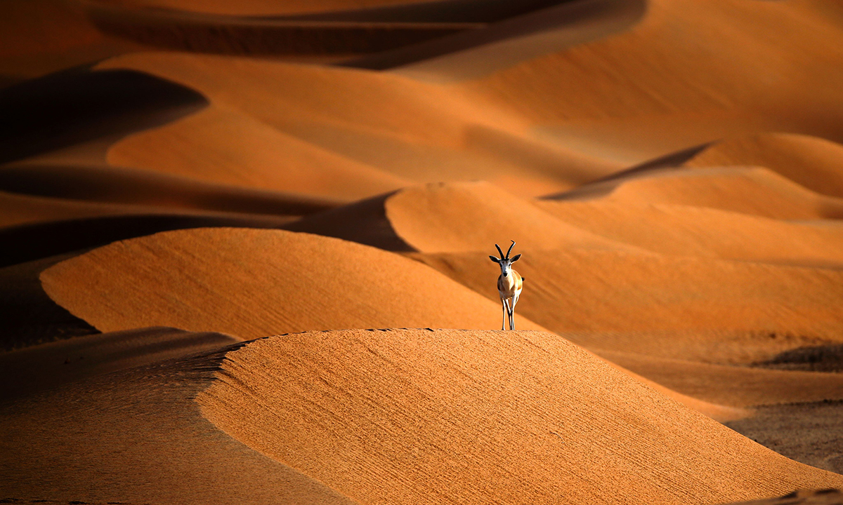 Le foto più belle del 2016 – Lo spettacolo della natura
