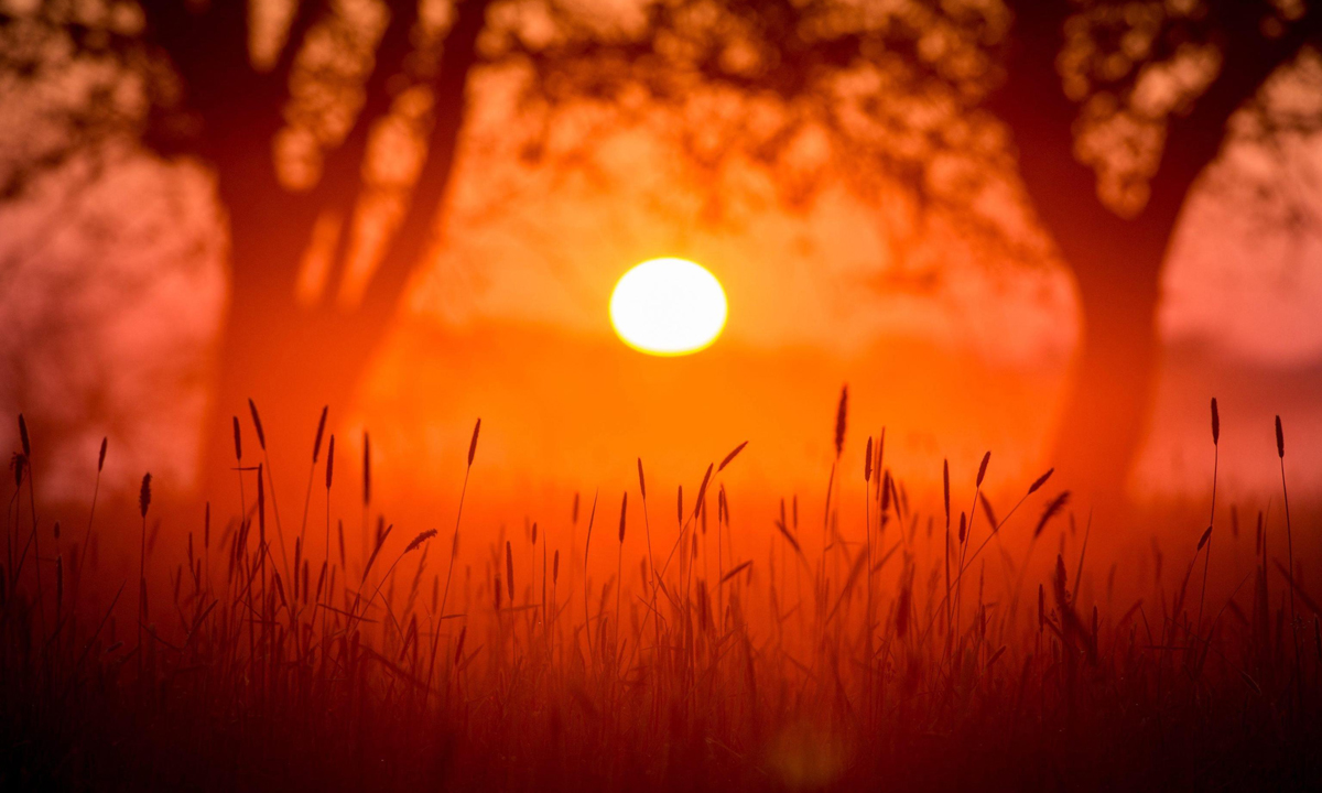 Le foto più belle del 2016 – Lo spettacolo della natura