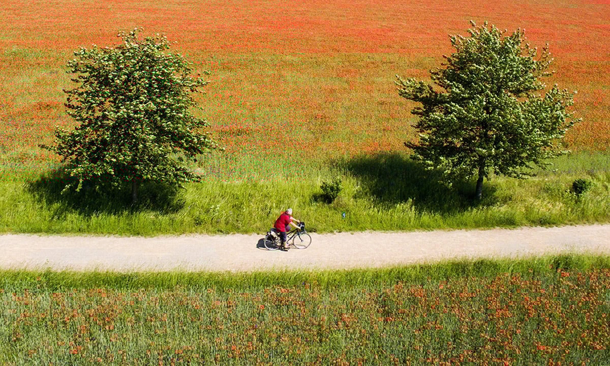 Le foto più belle del 2016 – Lo spettacolo della natura