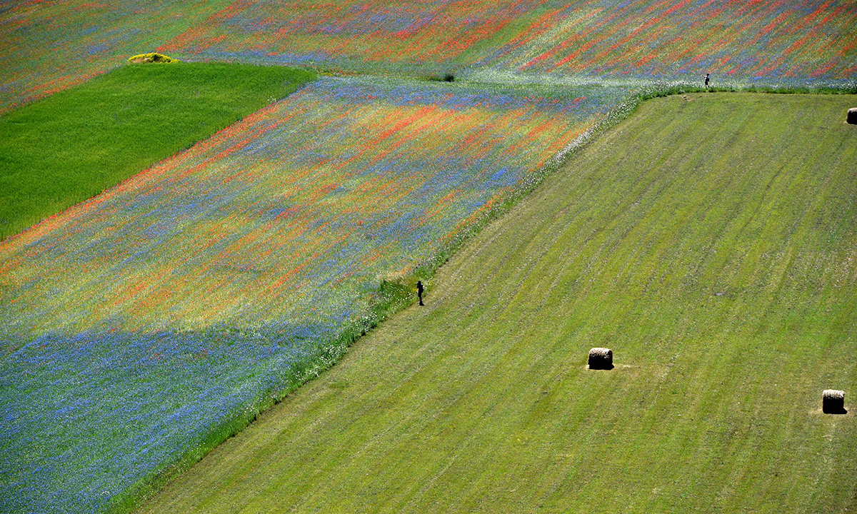 Le foto più belle del 2016 – Lo spettacolo della natura