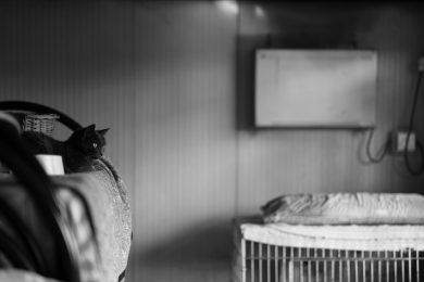 Volontariamente. Viaggio fotografico nel mondo del volontariato