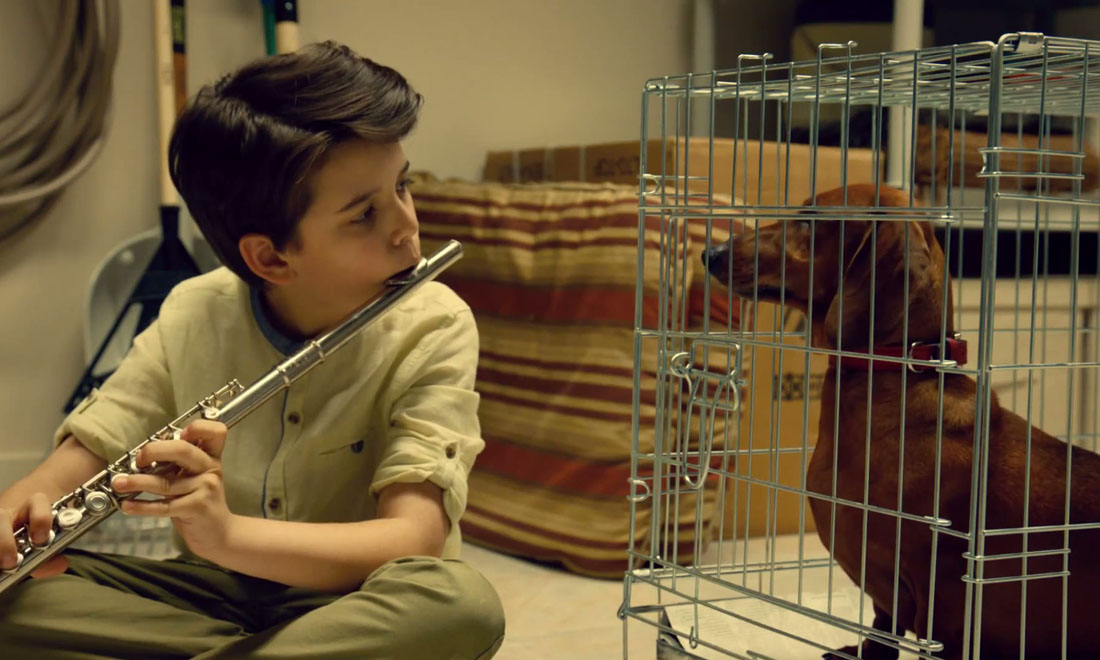 I film più belli del 2016 secondo il New Yorker I film più belli del 2016 secondo il New Yorker