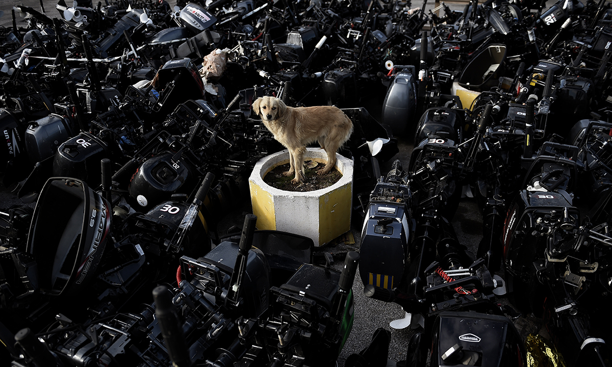 Le foto più belle del 2016