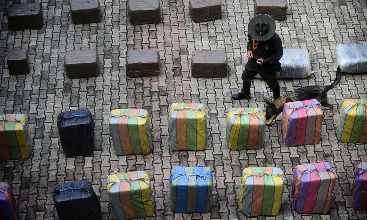 Le foto più belle del 2016