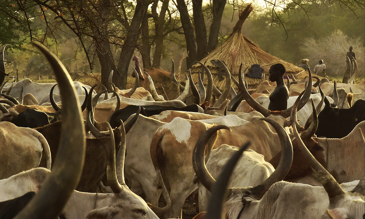 Le foto più belle del 2016