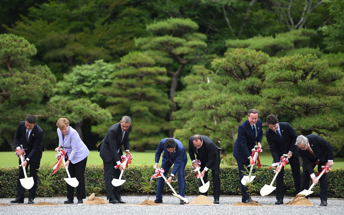 Galleria foto 'Le foto più belle del 2016' - foto 7