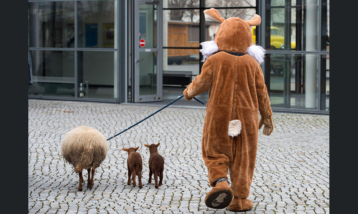 Le foto più divertenti del 2016