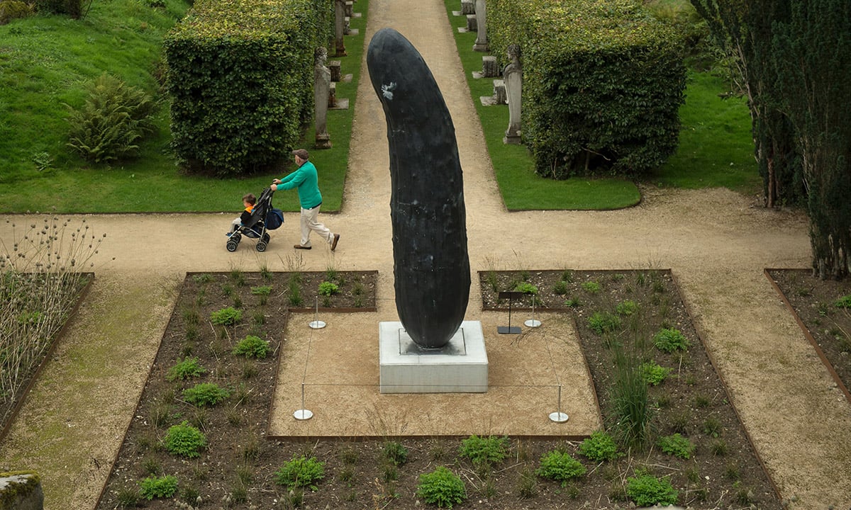 Le foto più divertenti del 2016