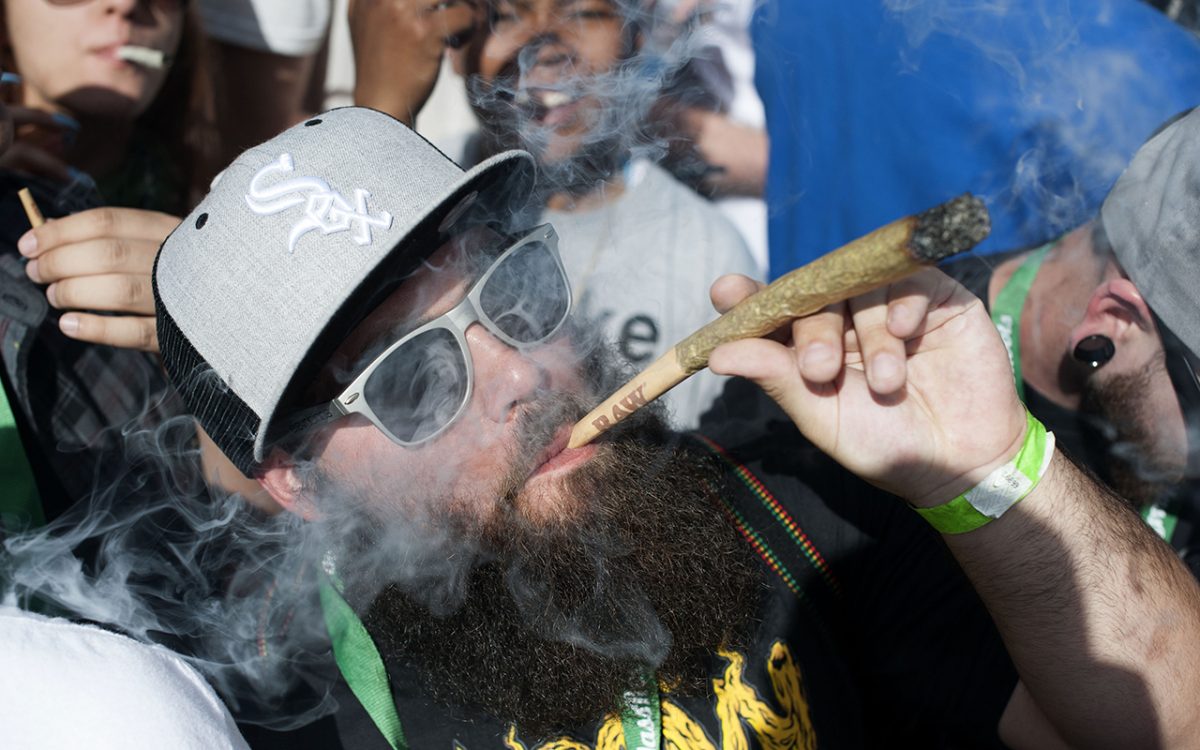 Galleria foto 'Le foto più divertenti del 2016' - foto 22