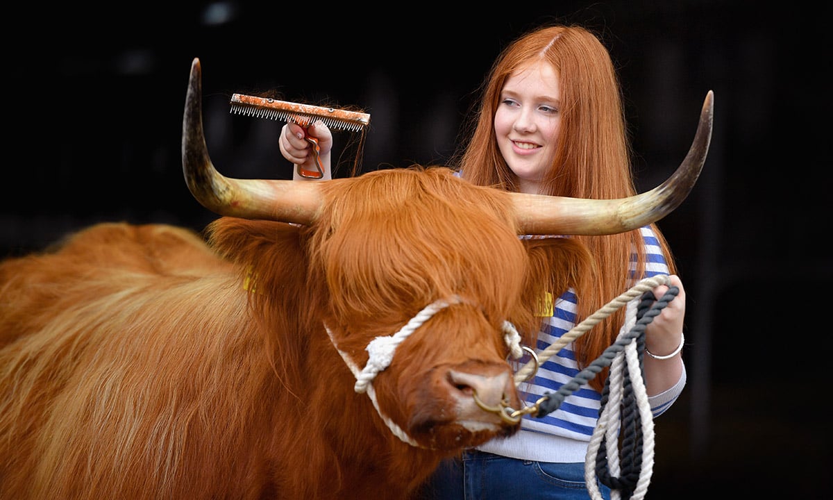 Le foto più divertenti del 2016