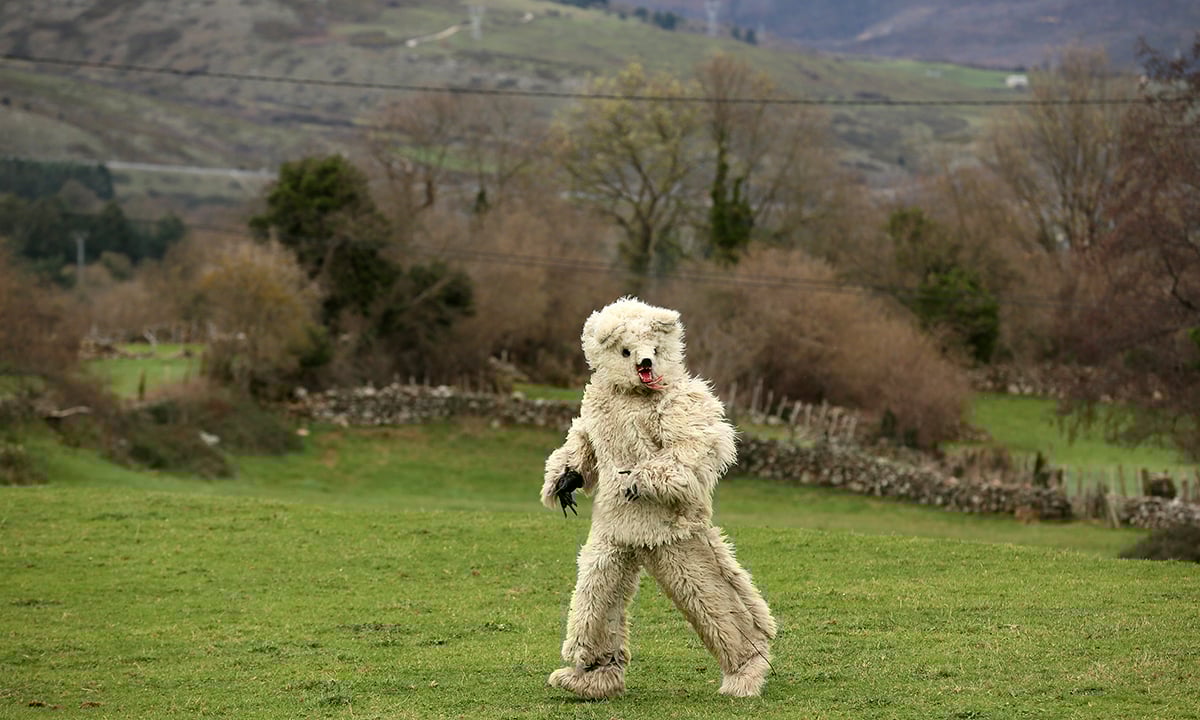 Le foto più divertenti del 2016