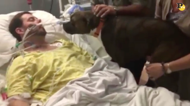 L’ultimo saluto di Mollie al suo padrone in fin di vita