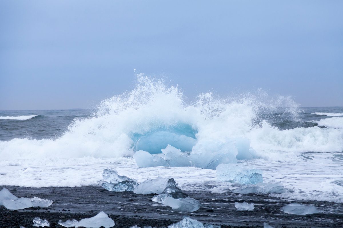 Galleria foto 'Le web bufale della settimana – Ep. 71' - foto 2