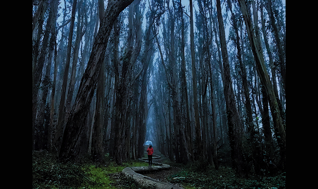 Le 25 foto più belle scattate (di notte) con l’iPhone 7
