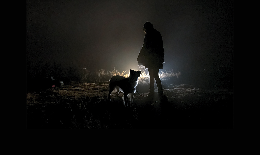 Le 25 foto più belle scattate (di notte) con l’iPhone 7