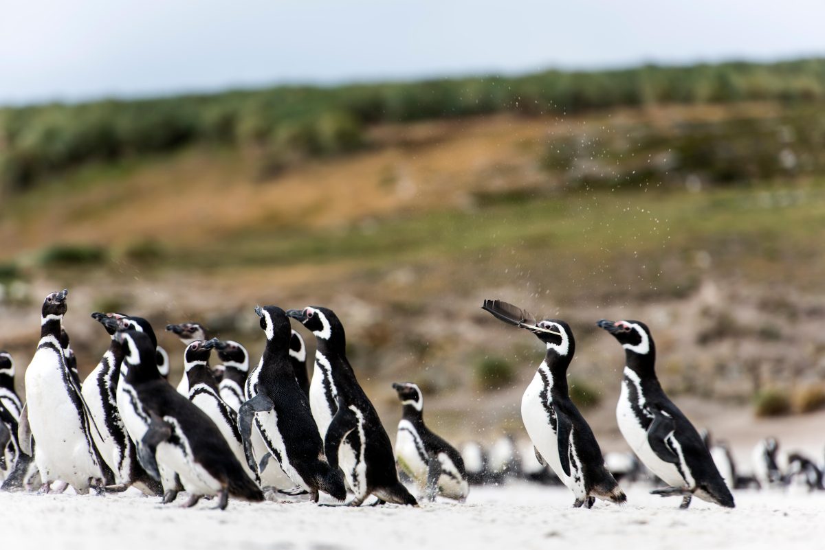 Le vacanze più costose al mondo